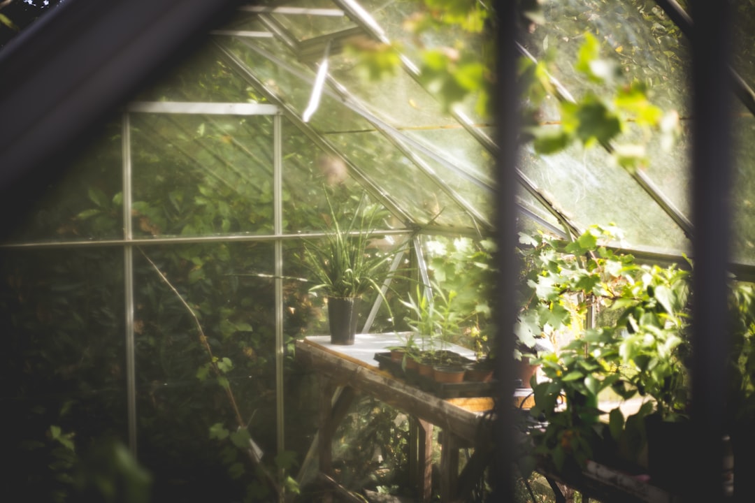 Mastering Your Space: How to Assess Your Garden Tool Storage Needs