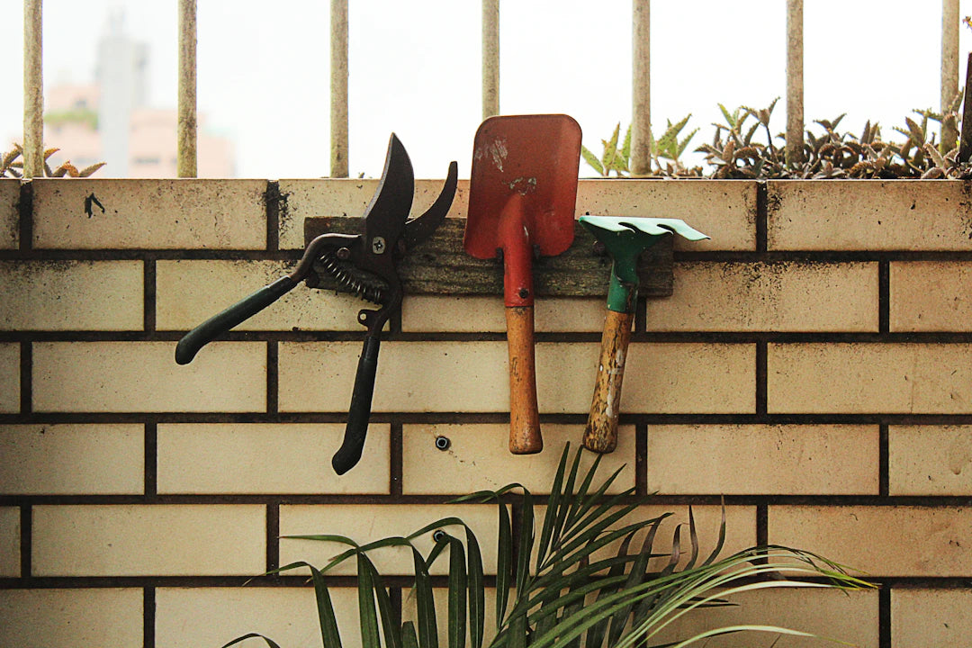 Hanging vs. Shelving Best Ways to Store Garden Tools