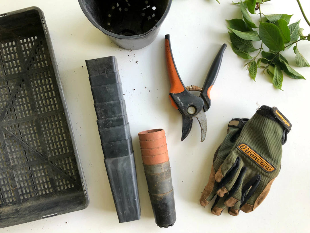Essential Gardening Tools for Every Type of Gardener