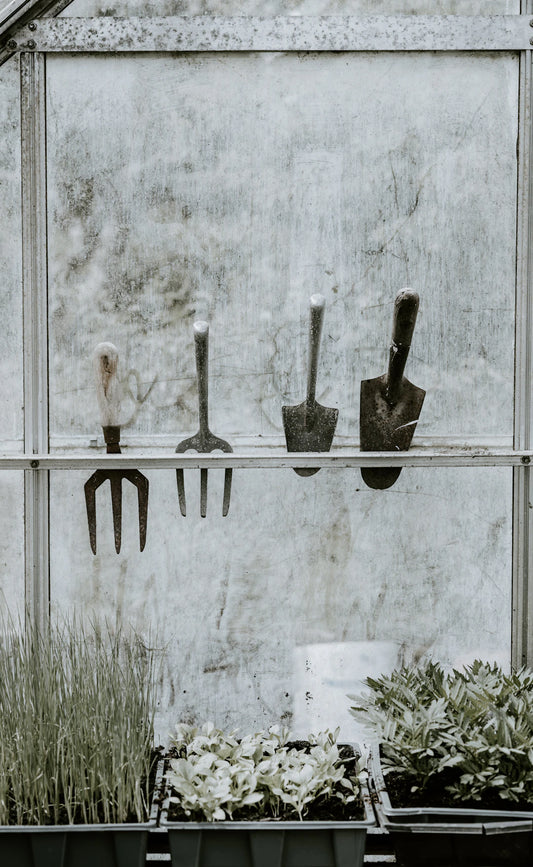 Seasonal Maintenance Tips for Garden Tool Storage