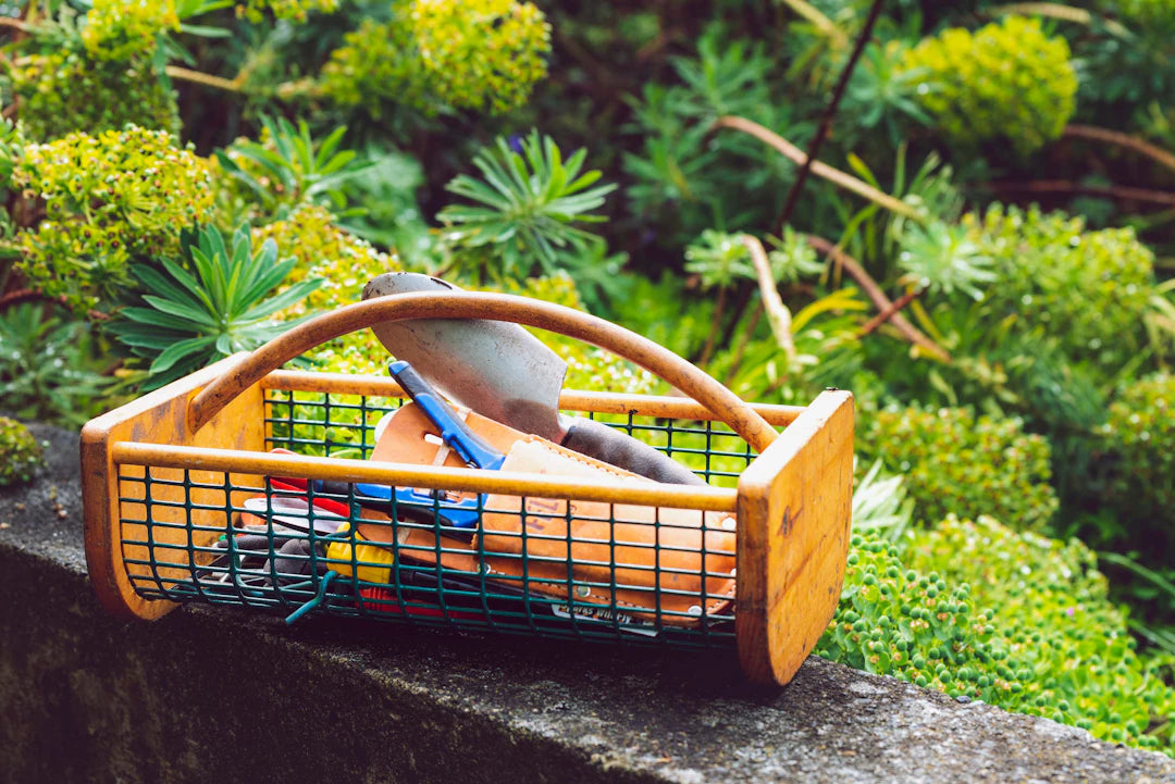 Mastering Seasonal Garden Tool Storage Essential Tips