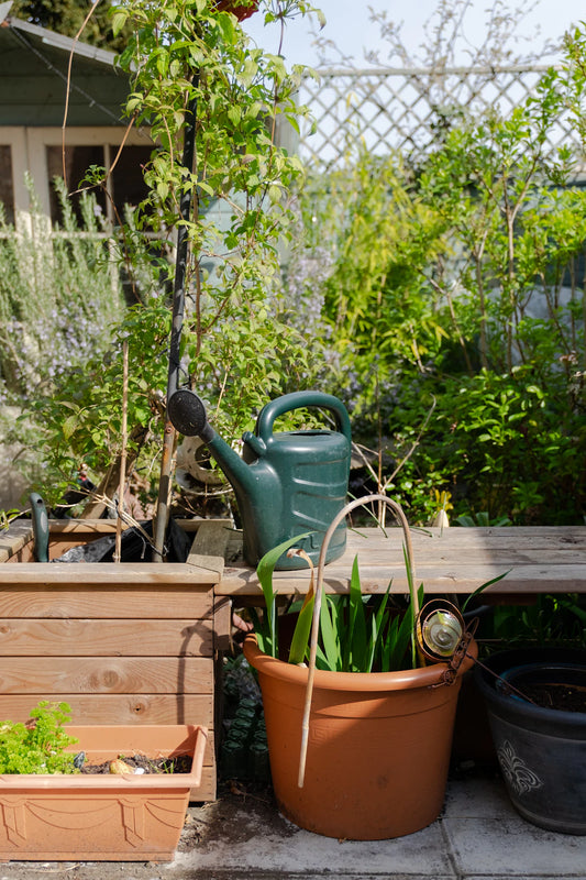 Master Your Garden The Ultimate Hook and Rack Guide
