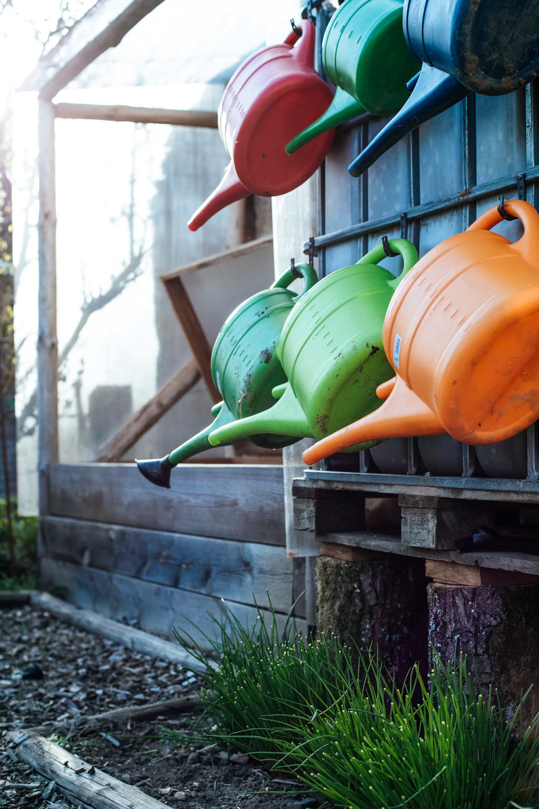 The Color-Coding Advantage for Your Garden Tools