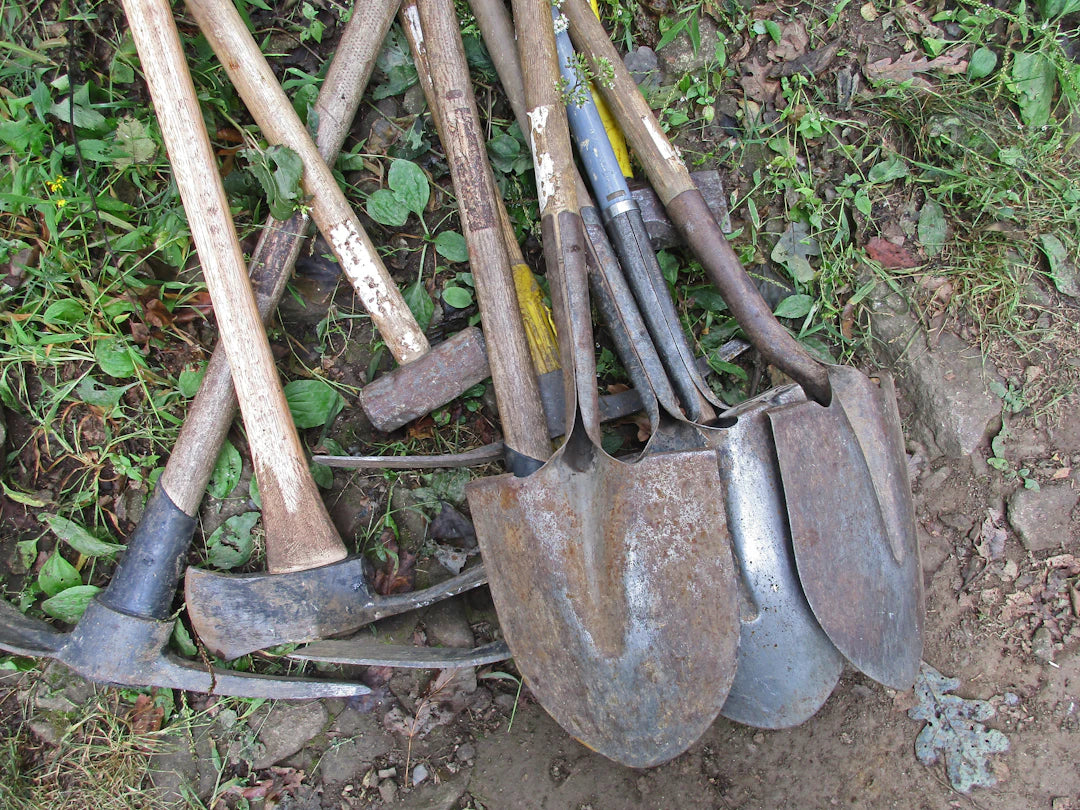 Involve Kids in Garden Tool Organization Fun