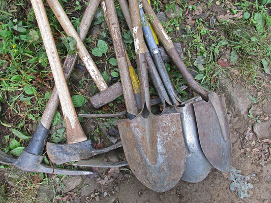 Involve Kids in Garden Tool Organization Fun