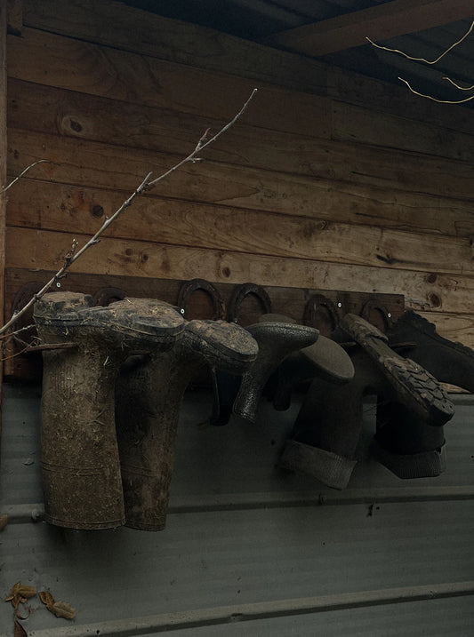 Mastering Garden Storage Select the Best Hooks Today