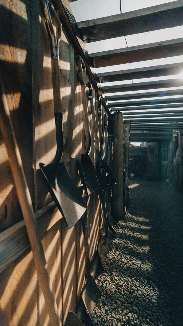 Master Your Shed Tips for Organizing a Community Garden's Tool Shed