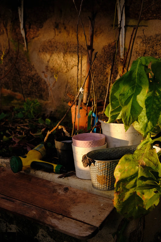 Master Your Garden Organize Tools for Easy Access