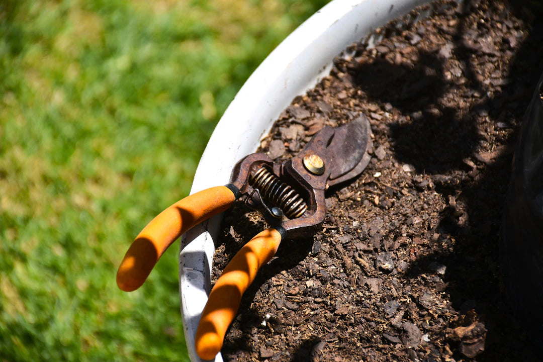 Master Off-Season Storage for Your Garden Tools