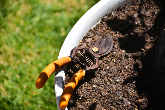 Master Off-Season Storage for Your Garden Tools