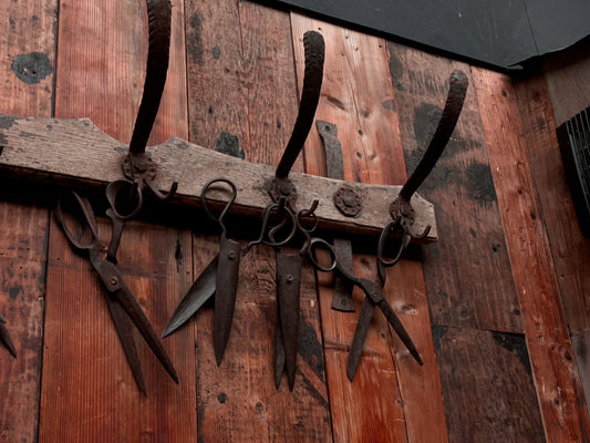 Mastering Your Garden The Essential Role of Hooks