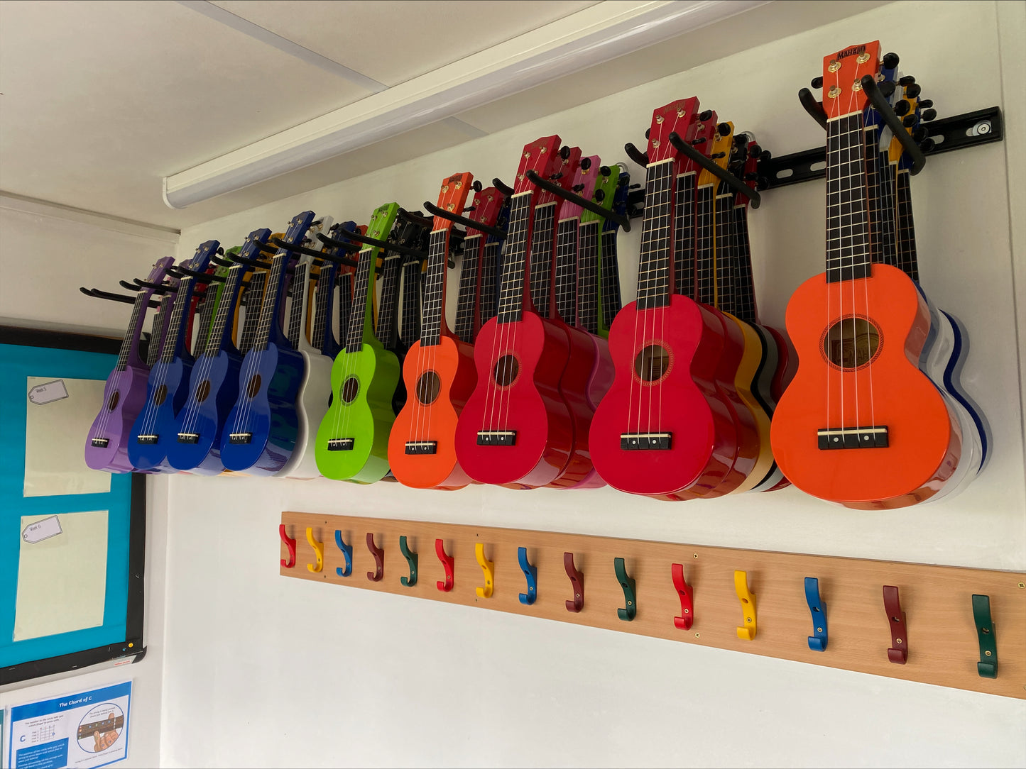 Ukulele storage for schools and colleges. Ukulele wall storage rack.