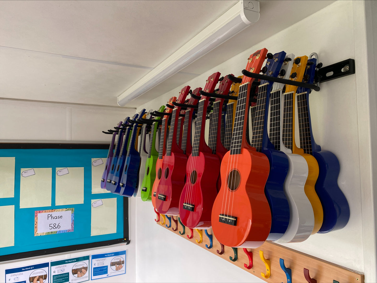 Ukulele storage for schools and colleges. Ukulele wall storage rack.